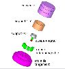 COMPACTFLAT